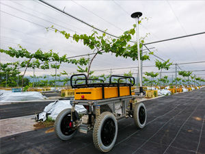小型多機能型農業ロボット「DONKEY」
